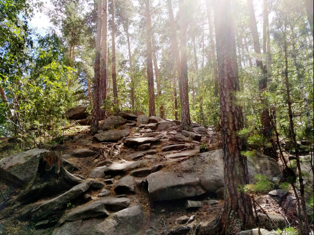 Фото галерея сайта ЛОС УРАЛЕС